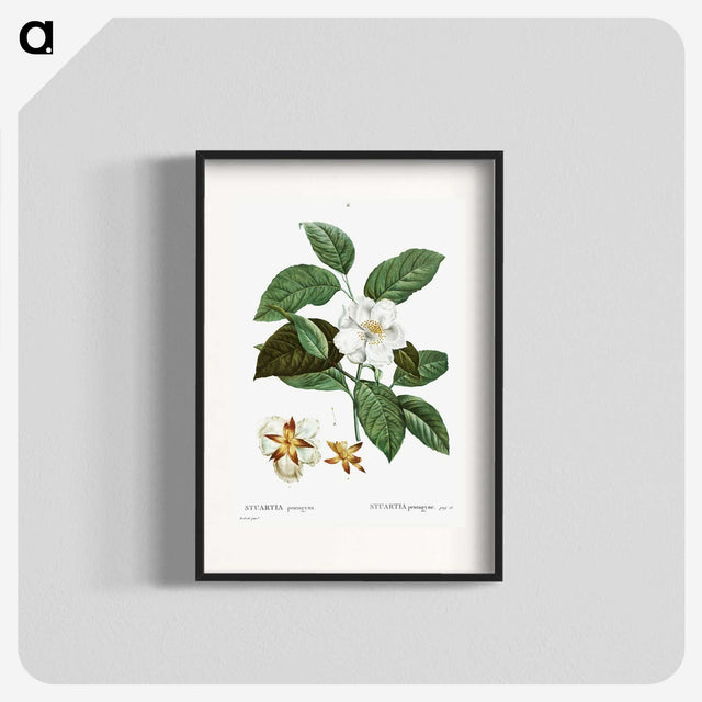 1-29_Treatise-on-Trees-and-Shrubs_blk