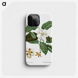 1-29_Treatise-on-Trees-and-Shrubs_phone