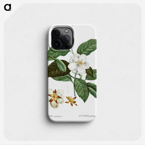 1-29_Treatise-on-Trees-and-Shrubs_phone