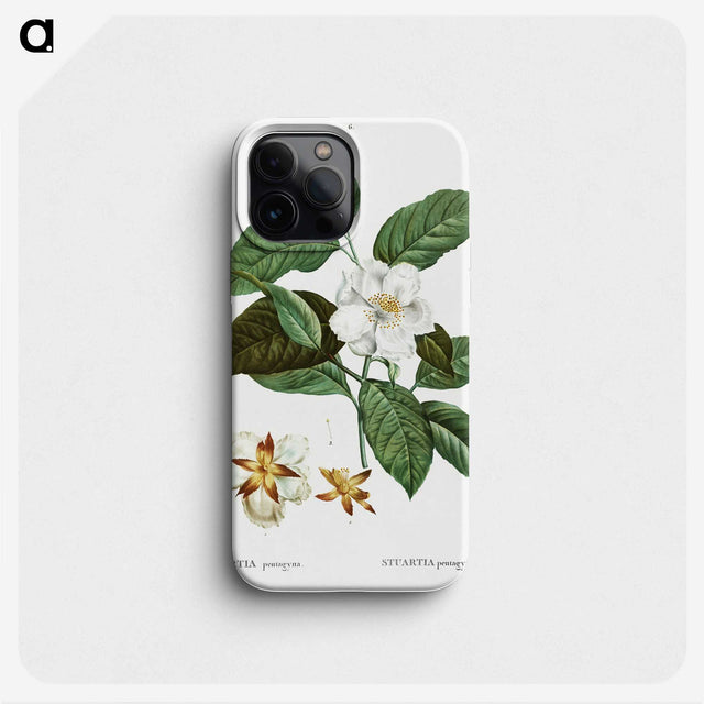 1-29_Treatise-on-Trees-and-Shrubs_phone