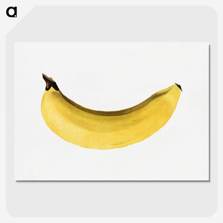 1-29_USDA-Watercolor-Fruit-Painting-Collection_picture-crop