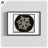 Wilson Bentley Photomicrograph of Stellar Snowflake No. 1099 - ウィルソン ベントレー Poster.