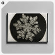 1-29_Wilson-Bentley_canvas