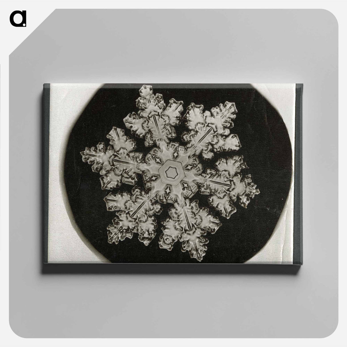 Wilson Bentley Photomicrograph of Stellar Snowflake No. 1099 - Wilson Bentley Canvas.