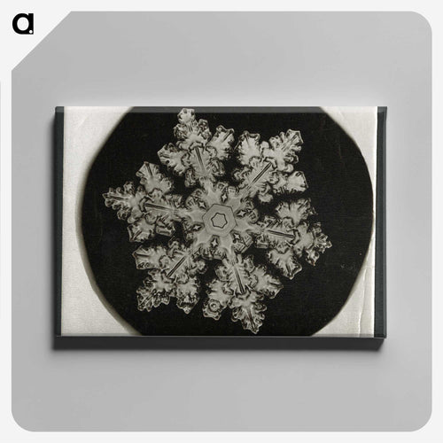 Wilson Bentley Photomicrograph of Stellar Snowflake No. 1099 - ウィルソン ベントレー Canvas.