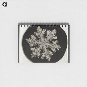 アートメモ帳-Wilson Bentley Photomicrograph of Stellar Snowflake No. 1099 - ウィルソン ベントレー Memo.