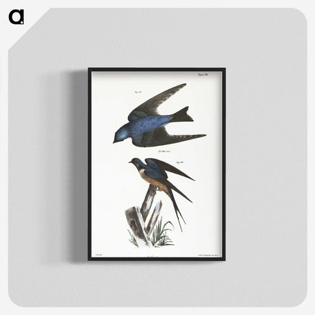1-29_Zoology-of-New-York_blk-crop