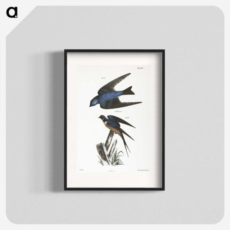 1-29_Zoology-of-New-York_blk