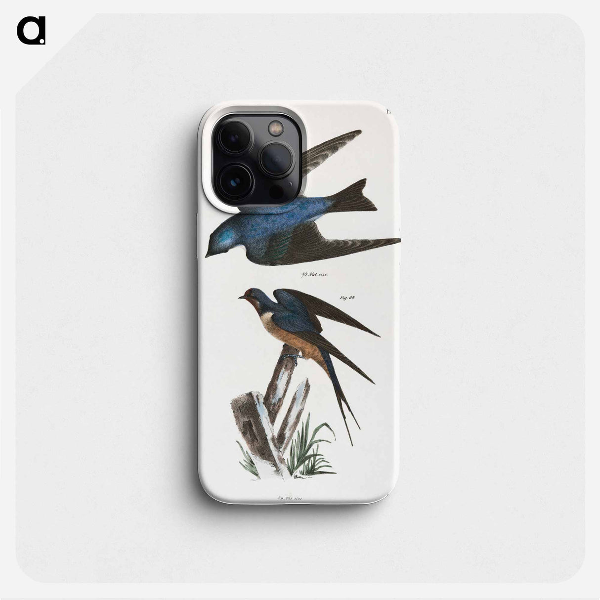 The White-bellied Swallow (Hirundo bicolor) - ニューヨークの動物学 Phone Case.