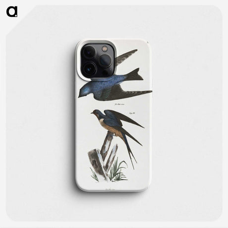 1-29_Zoology-of-New-York_phone