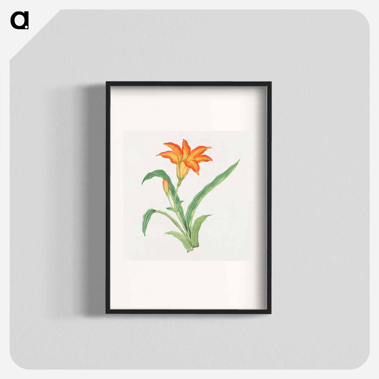 Hime kuwanso - 19世紀の日本の花 Poster.