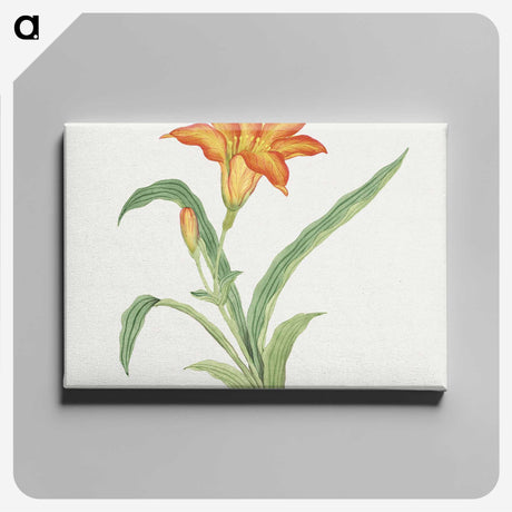 1-2_19th-Century-Japanese-Flowers_canvas