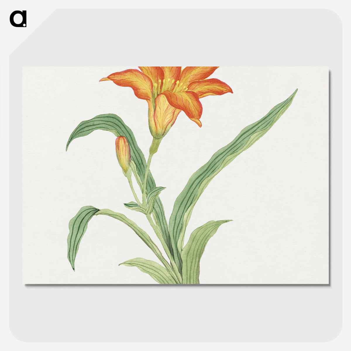 1-2_19th-Century-Japanese-Flowers_picture-crop