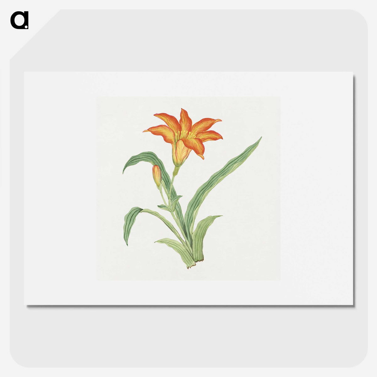 1-2_19th-Century-Japanese-Flowers_picture