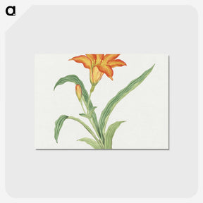 1-2_19th-Century-Japanese-Flowers_postcard