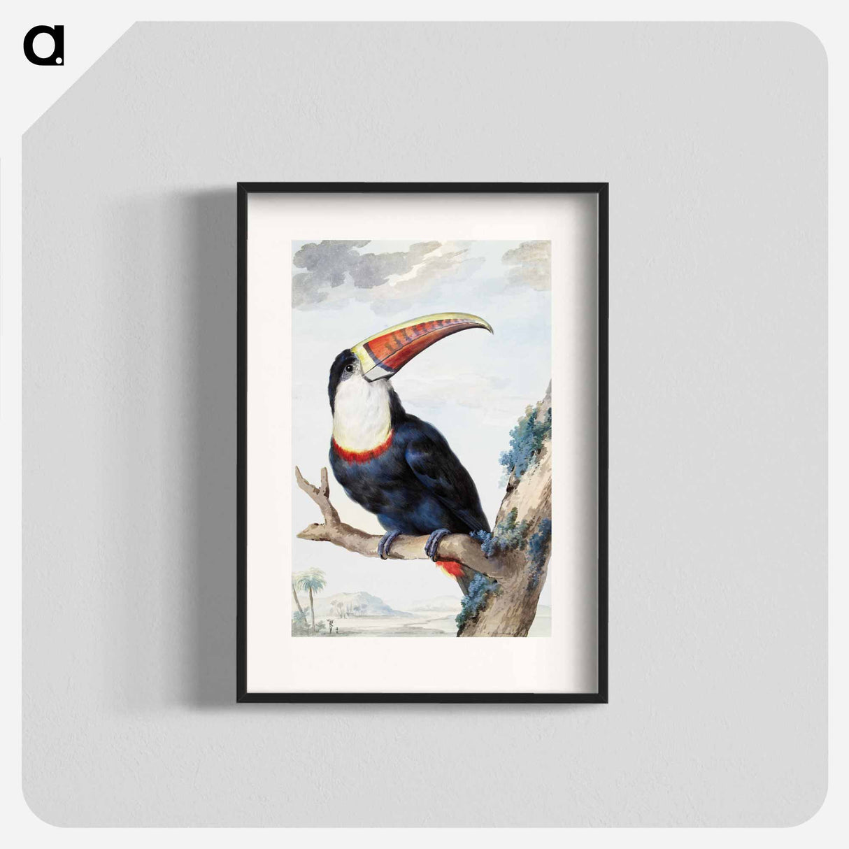 Red-billed Toucan - アールト シューマン Poster.