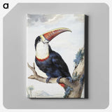 1-2_Aert-Schouman_canvas