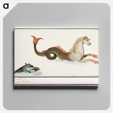 Hippocampus and fish - アンセルムス ボエティウス デ ブート Canvas.