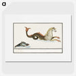 1-2_Anselmus-Boetius-de-Boodt_picture