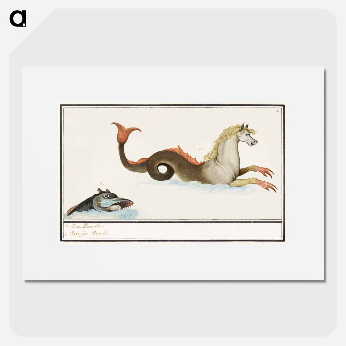 Hippocampus and fish - アンセルムス ボエティウス デ ブート Poster.