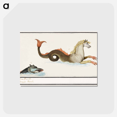 アートポストカード-Hippocampus and fish - アンセルムス ボエティウス デ ブート Postcard.