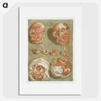 1-2_Arnauld-Eloi-Gautier-Dagoty_picture