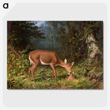 1-2_Arthur-Fitzwilliam-Tait_picture-crop