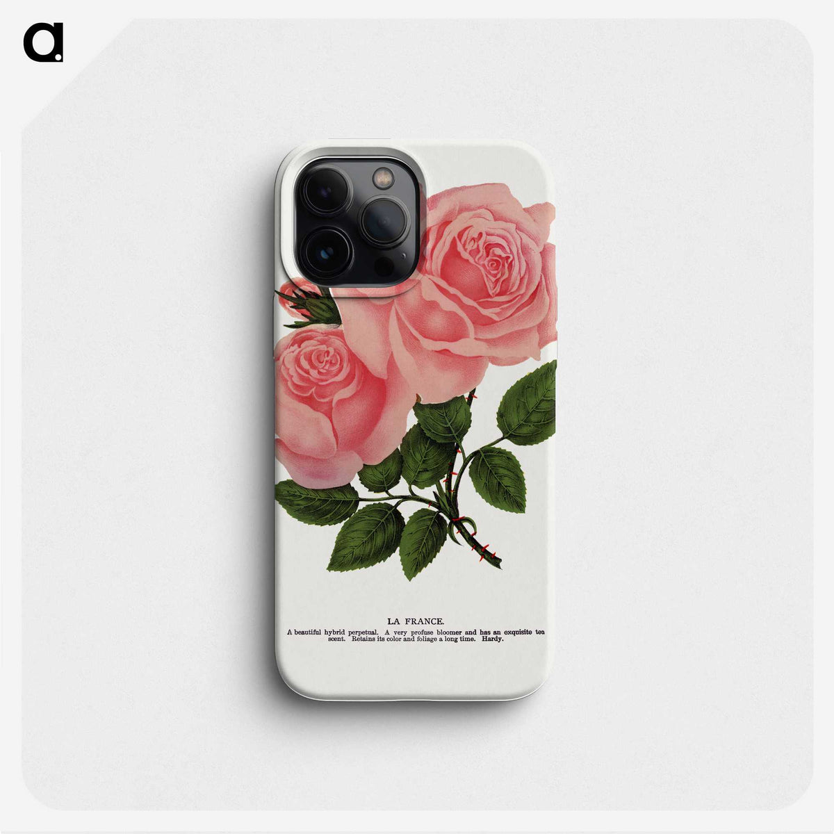 1-2_Botanical-Specimen-Plates_phone