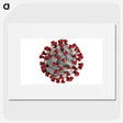 1-2_COVID-19_picture