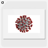 1-2_COVID-19_picture