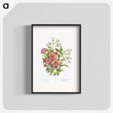 1-2_Canadian-Wild-Flowers_blk