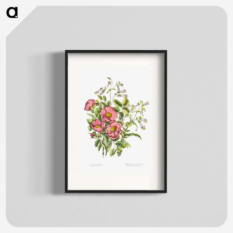 1-2_Canadian-Wild-Flowers_blk