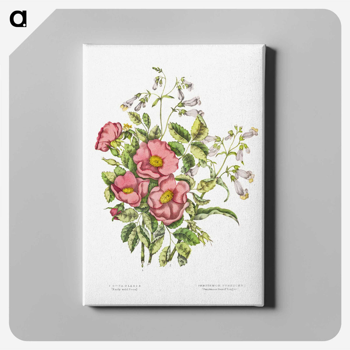 1-2_Canadian-Wild-Flowers_canvas