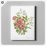 1-2_Canadian-Wild-Flowers_canvas