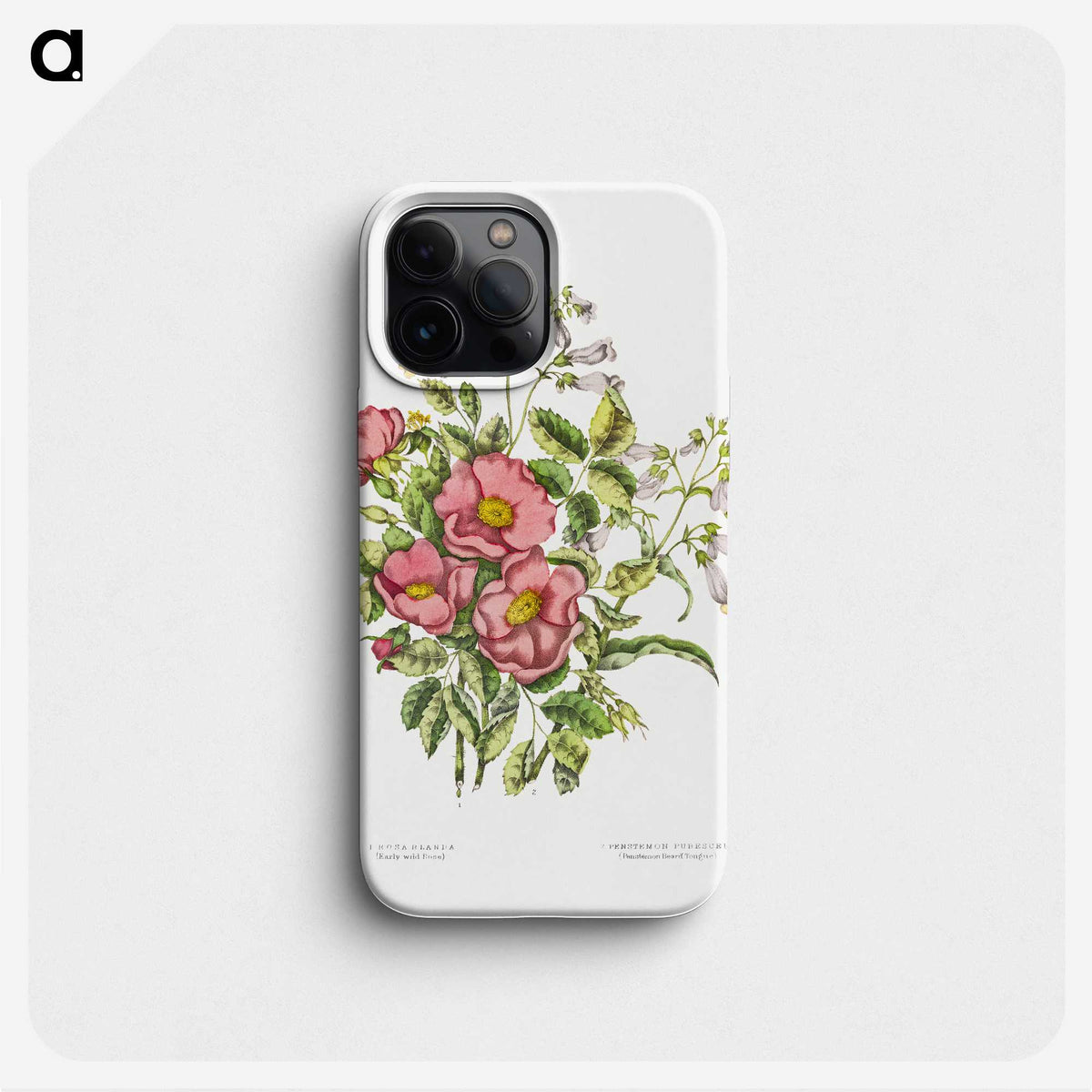 1-2_Canadian-Wild-Flowers_phone