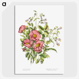 1-2_Canadian-Wild-Flowers_picture-crop