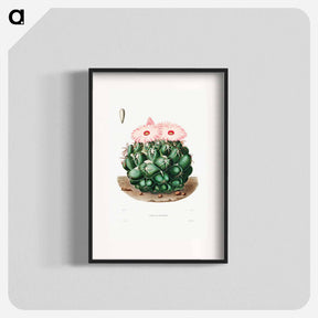 アートポスター-Elephant's Tooth Cactus
 - シャルル アントワーヌ ルメール Poster.