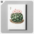 1-2_Charles-Antoine-Lemaire_canvas