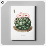 1-2_Charles-Antoine-Lemaire_canvas