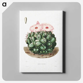1-2_Charles-Antoine-Lemaire_canvas