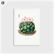 アートポストカード-Elephant's Tooth Cactus
 - シャルル アントワーヌ ルメール Postcard.