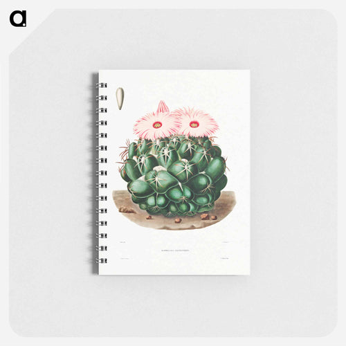 Elephant's Tooth Cactus
 - シャルル アントワーヌ ルメール Memo.