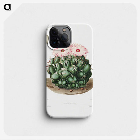 1-2_Charles-Antoine-Lemaire_phone