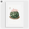 1-2_Charles-Antoine-Lemaire_picture