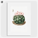 1-2_Charles-Antoine-Lemaire_picture