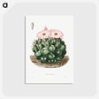 1-2_Charles-Antoine-Lemaire_postcard