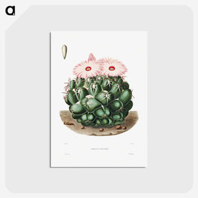 1-2_Charles-Antoine-Lemaire_postcard