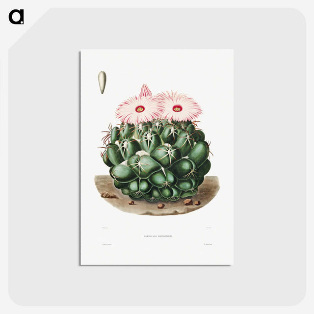 1-2_Charles-Antoine-Lemaire_postcard