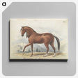 1-2_Charles-Hamilton-Smith_canvas