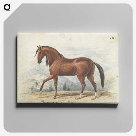 1-2_Charles-Hamilton-Smith_canvas